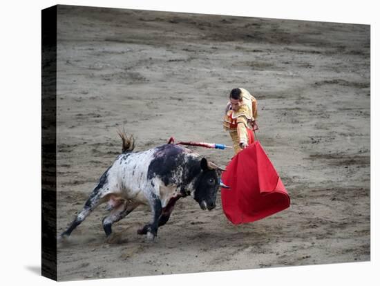 Matador and a Bull in a Bullring, Lima, Peru-null-Premier Image Canvas