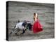 Matador and a Bull in a Bullring, Lima, Peru-null-Premier Image Canvas