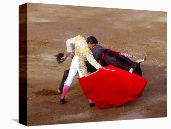 Matador at Monumental El Paso, Bullfight (Fiesta Brava), San Luis Potosi, Mexico-Russell Gordon-Premier Image Canvas