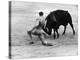 Matador Julian Marin and Bull in the Ring for a Bullfight During the Fiesta de San Ferman-Tony Linck-Premier Image Canvas