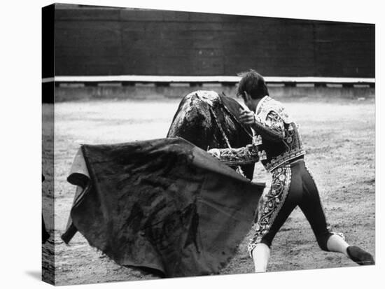 Matador Manuel Benitez, Performing in the Bullring-Loomis Dean-Premier Image Canvas