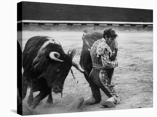 Matador Manuel Benitez, Performing Series of Passes on His Knees-Loomis Dean-Premier Image Canvas