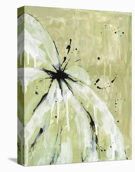 Matcha Daisy I-Yvette St.Amant-Stretched Canvas