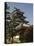 Matsumoto Castle, Nagano Prefecture, Kyoto, Japan-Christian Kober-Premier Image Canvas