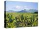 Mauritius, Scenic in the North West Region of the Island-Fraser Hall-Premier Image Canvas