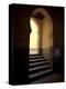 Mausoleum of Moulay Ismail, Meknes, Morocco, North Africa, Africa-Marco Cristofori-Premier Image Canvas