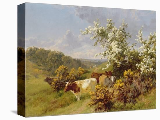 May Blossom-Charles Collins-Premier Image Canvas