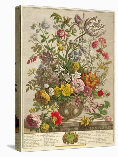 May, from 'twelve Months of Flowers' by Robert Furber (C.1674-1756) Engraved by Henry Fletcher-Pieter Casteels-Premier Image Canvas