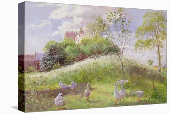 May Mount, 1991-Timothy Easton-Premier Image Canvas