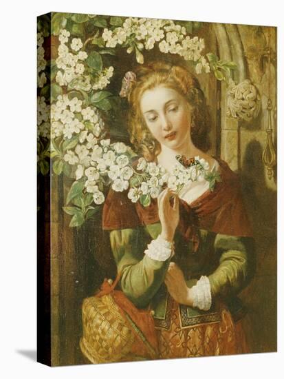 May-Daniel Maclise-Premier Image Canvas