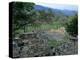 Maya, Copan, Honduras-Kenneth Garrett-Premier Image Canvas