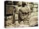 Mayan Carved Stone Skull on Top of East Court, Dating from 8th Century, Copan, Honduras-Christopher Rennie-Premier Image Canvas