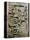 Mayan Glyph-null-Premier Image Canvas