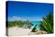 Mayan Ruin Iguana Tulum Mexico-null-Stretched Canvas