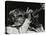 Maynard Ferguson Playing the Trumpet-Denis Williams-Premier Image Canvas