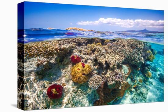 Mayotte : the Reef-Barathieu Gabriel-Premier Image Canvas
