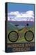 McKenzie River, Bicycle Scene-Lantern Press-Stretched Canvas