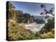 Mcway Falls at Julia Pfeiffer Burns State Park on the Big Sur Coast of California-Kyle Hammons-Premier Image Canvas