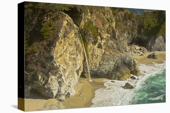 Mcway Falls, Julia Pfeiffer Burns State Park, Big Sur, California, USA-Michel Hersen-Premier Image Canvas