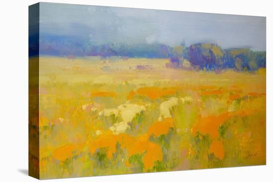 Meadow 1-Vahe Yeremyan-Stretched Canvas