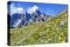 Meadow at Sexten Dolomites Nature Park, Province of Bolzano, South Tyrol, Italy-null-Stretched Canvas