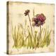 Meadow Blooms-Bella Dos Santos-Stretched Canvas