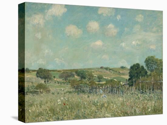 Meadow, by Alfred Sisley, 1875, French impressionist painting,-Alfred Sisley-Stretched Canvas