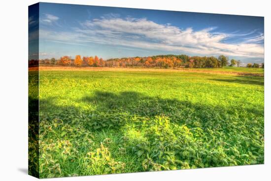 Meadow Early Autumn-Robert Goldwitz-Premier Image Canvas