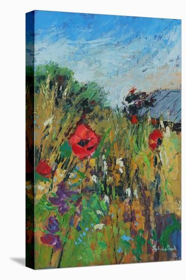 Meadow Flowers, 2012-Sylvia Paul-Premier Image Canvas