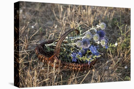 Meadow Flowers in the Basket-Andrea Haase-Premier Image Canvas