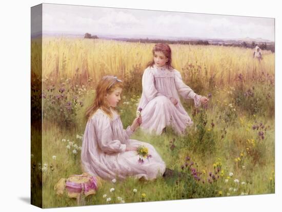 Meadow Flowers-William Blake-Premier Image Canvas