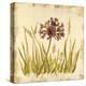 Meadow Grasses-Bella Dos Santos-Stretched Canvas