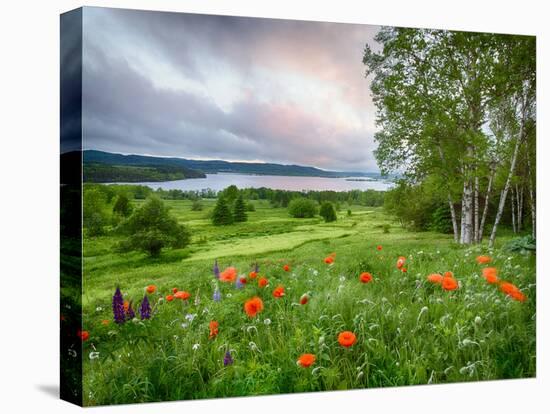 Meadow Landscape, New Brunswick, Canada-Ellen Anon-Premier Image Canvas