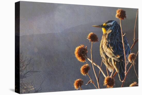 Meadow Lark-Chris Vest-Stretched Canvas