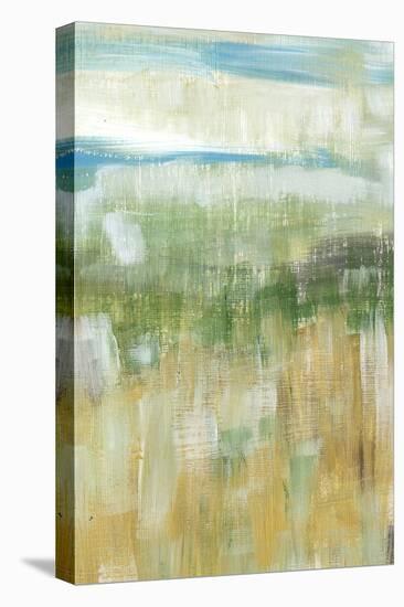 Meadow Memory II-Lisa Choate-Stretched Canvas