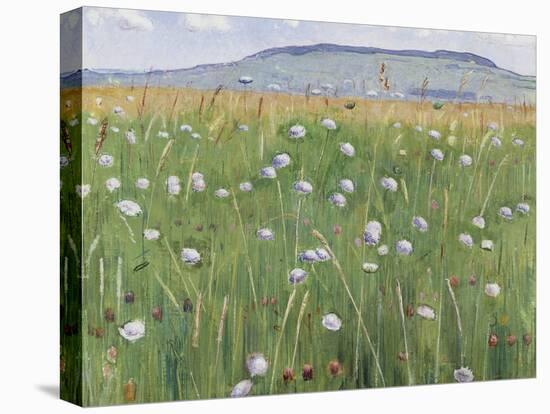 Meadow of Flowers, about 1901-Ferdinand Hodler-Premier Image Canvas