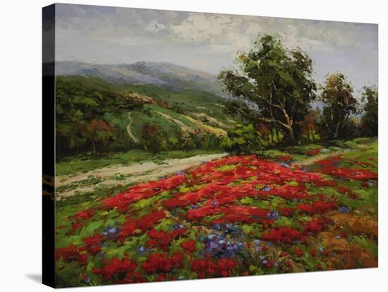 Meadow of Wildflower-Hulsey-Stretched Canvas