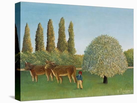 Meadow (pasture). 1910-Henri Rousseau-Premier Image Canvas