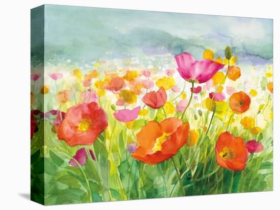 Meadow Poppies-Danhui Nai-Stretched Canvas