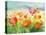Meadow Poppies-Danhui Nai-Stretched Canvas