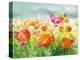 Meadow Poppies-Danhui Nai-Stretched Canvas