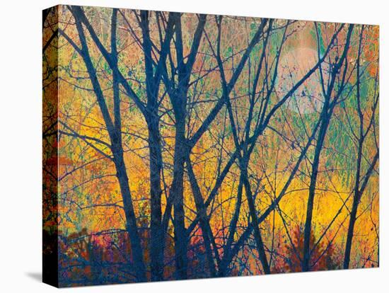 Meadow Trees I-Chris Vest-Stretched Canvas