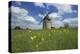 Meadow with Senecio in Front of the Devil's Mill in the Harz Foreland in Saxony-Anhalt-Uwe Steffens-Premier Image Canvas