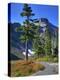 Meadow with Trail and Table Mountain, Heather Meadows Recreation Area, Washington, Usa-Jamie & Judy Wild-Premier Image Canvas