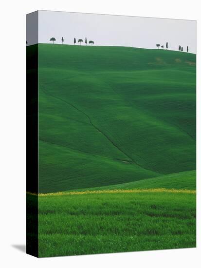 Meadows and cypresse in the Tuscany-Roland Gerth-Premier Image Canvas