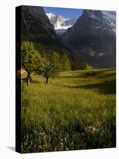 Meadows and Mountains, Grindelwald, Bern, Switzerland, Europe-Richardson Peter-Premier Image Canvas