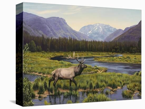 Meadows of Grand Lake, Colorado-John Zaccheo-Premier Image Canvas