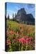 Meadows of red paintbrush wildflowers at Boulder Pass. Glacier National Park-Alan Majchrowicz-Premier Image Canvas