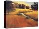 Meandering Stream-Tim Howe-Premier Image Canvas