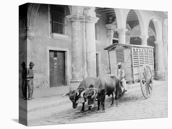 Meat Wagon, Havana, Cuba-null-Stretched Canvas